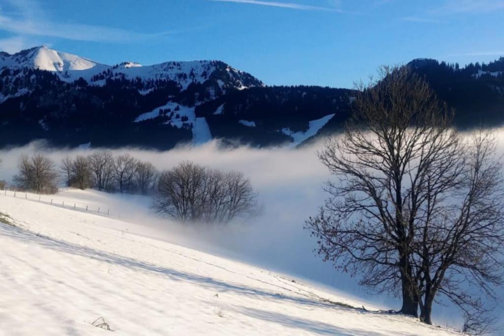 Jolie Vue Au Calme Lägenhet Évian-les-Bains Exteriör bild